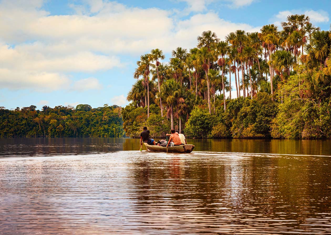 ANDES & AMAZON