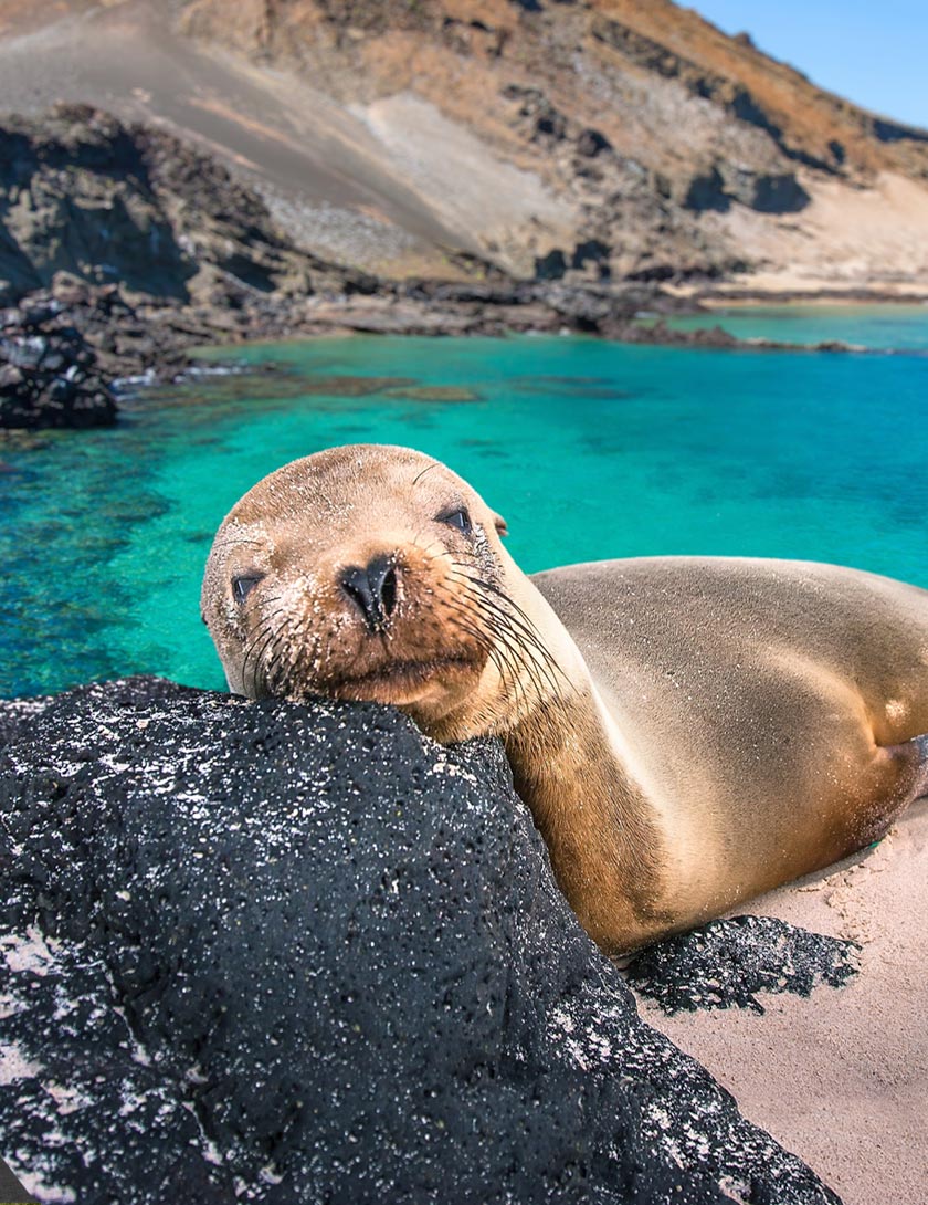 GALAPAGOS & PERU